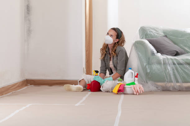 Reliable Mold Remediation contractor in Moyock, NC by WQB Mold Removal